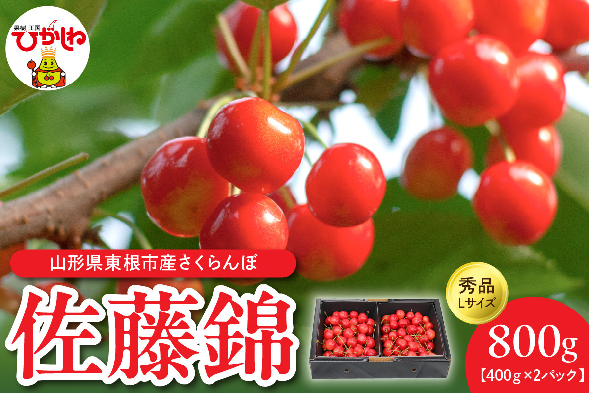 
            【令和7年産】佐藤錦秀品Ｌサイズ400ｇ×2P 山形県 東根市 有限会社motto提供 hi090-001-1
          