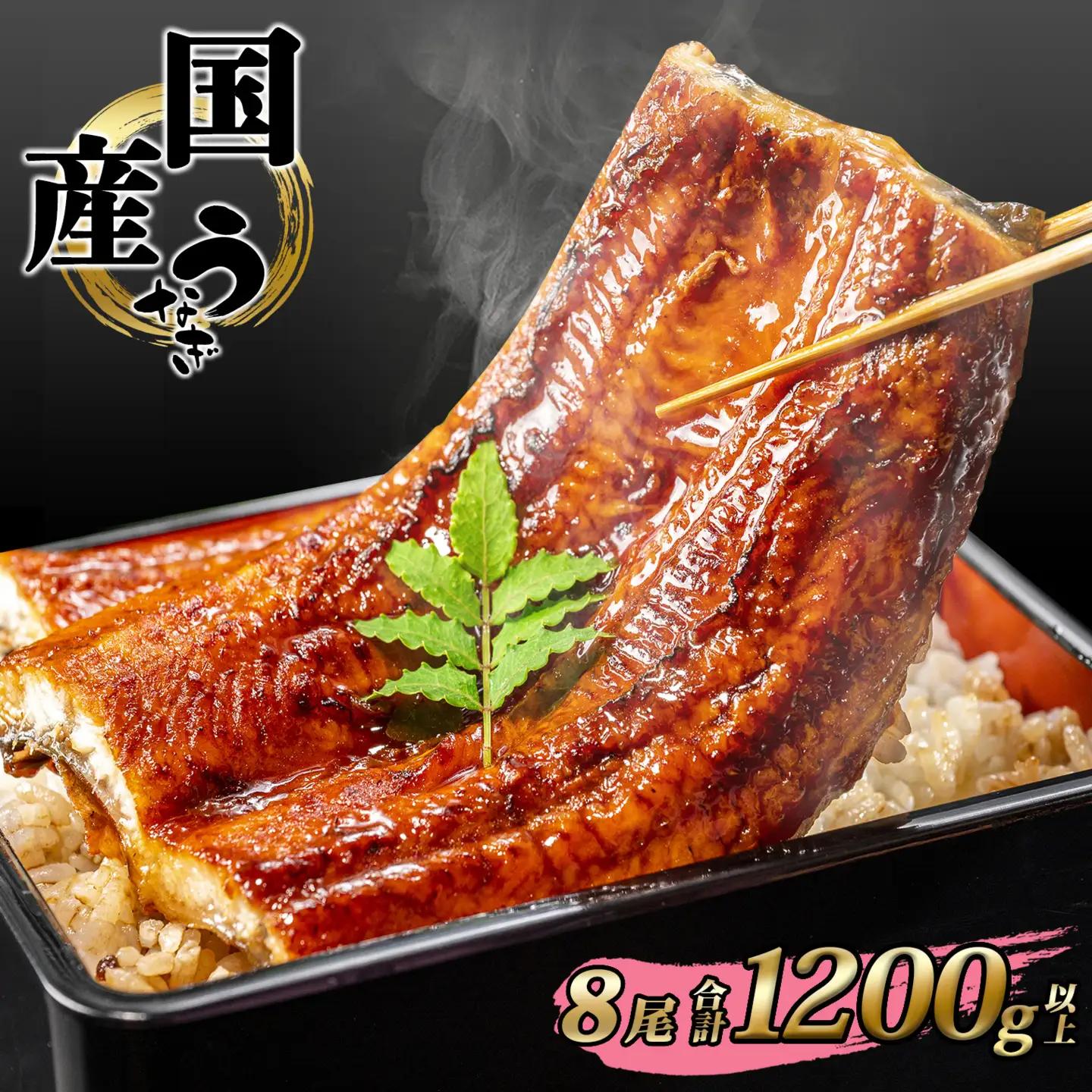 うなぎ蒲焼 8尾 国産 うなぎ 鰻 K2393