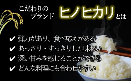 【令和５年産 ヒノヒカリ】白米10kg（10kg×1袋）2023年産【５営業日以内に発送】(10-84)