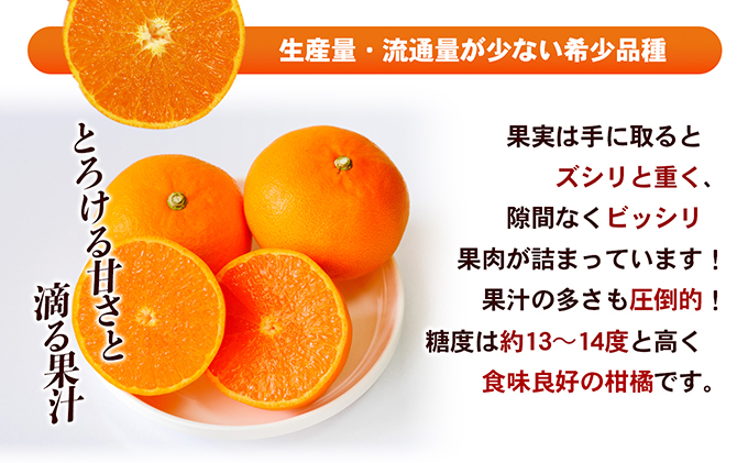 【数量限定 先行予約】愛媛県産せとか（露地）約5kg [50R0835]【高島屋選定品】秀M～２Lサイズ 2月中旬頃～順次発送＜ギフト 高級 甘い みかん フルーツ＞ [No.5310-0002]