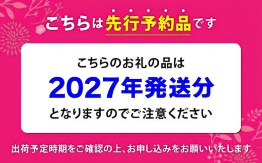 さくらんぼ 佐藤錦 500g 2027年産 先行予約 バラ詰め サイズ混合（M/L/LL） ｜ 朝採れ もぎたて 農家直送 産地直送 果物 フルーツ 旬 新鮮 お取り寄せ ギフト 贈り物 サクランボ 福島県 大玉村 菊地果樹園 ｜ OT20-004-R9