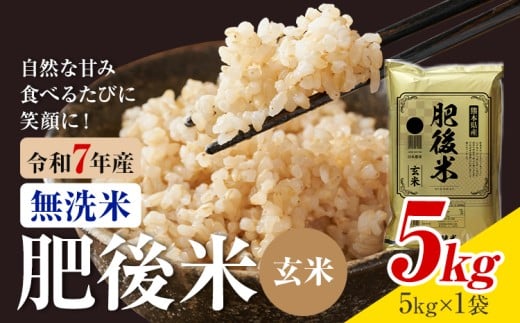 熊本県産 肥後米 無洗米 玄米 5kg 1袋5kg 米 お米 令和7年産 九州産 熊本県産 送料無料【30日以内に出荷予定（土日祝除く）】玄米 無洗米 米