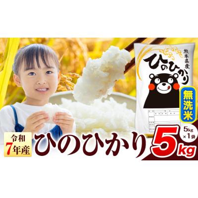 ふるさと納税 氷川町 令和7年産 ひのひかり 無洗米 熊本県産 5kg《7-14日以内に出荷予定(土日祝除く)》