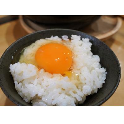 ふるさと納税 村上市 【新米受付・令和7年産米】空舞米　新潟県岩船産コシヒカリ精米12kg 1063001N |  | 03