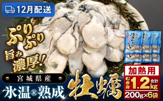 【12月配送】 加熱用 氷温熟成かき200g ×6p むき身 冷凍 牡蠣 小分け むき カキ 冷凍かき 加熱 宮城 小分け 冷凍 バラバラ冷凍 冷凍カキ かき 牡蠣 海鮮 魚介 貝類 海の幸 BBQ 家庭用 まるたか水産 宮城県 石巻市