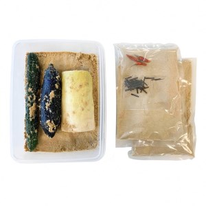 漬物 糠床 どぼ漬 手作りセット 京つけものもり 京漬物 ぬか床 京漬物 野菜漬物 お漬物 ※5月より順次発送