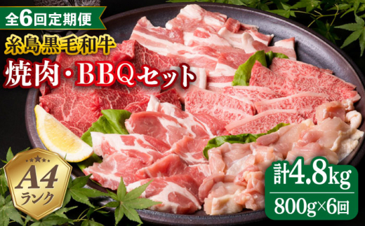 
【全6回定期便】焼肉・バーベキュー セット 計800g 牛モモ 牛バラ 豚バラ 豚肩ロース 鶏もも肉 糸島市 / 糸島ミートデリ工房 [ACA273]
