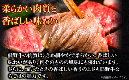 ステーキ 熊野牛 赤身ステーキ 約600g