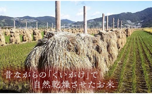 【わら屋のお米】 令和7年産 特別栽培米 つや姫 5kg 『おがわ藁農園』 米 白米 精米 ご飯 農家直送 山形県 南陽市 [2167]