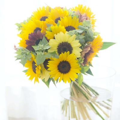 ふるさと納税 小田原市 「毎月」届く、旬の花束(12回/1年間) |  | 01