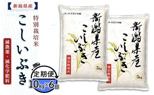 75-7K106【6ヶ月連続お届け】新潟県長岡産特別栽培米こしいぶき10kg（5kg×2袋）【2026年4月発送開始】
