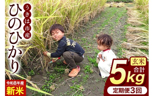 【ふるさと納税】令和8年度産 新米 玄米 ひのひかり 5kg 3ヶ月定期便 自然栽培 農薬不使用 米 お米 国産 ご飯 ごはん こめ コメ ヒノヒカリ 健康 食物繊維 腸活 ヘルシー 自然食品 ヴィーガン 家庭用 送料無料 福岡 お取り寄せ うきは市 人気 返礼品 ぶんぶんファーム