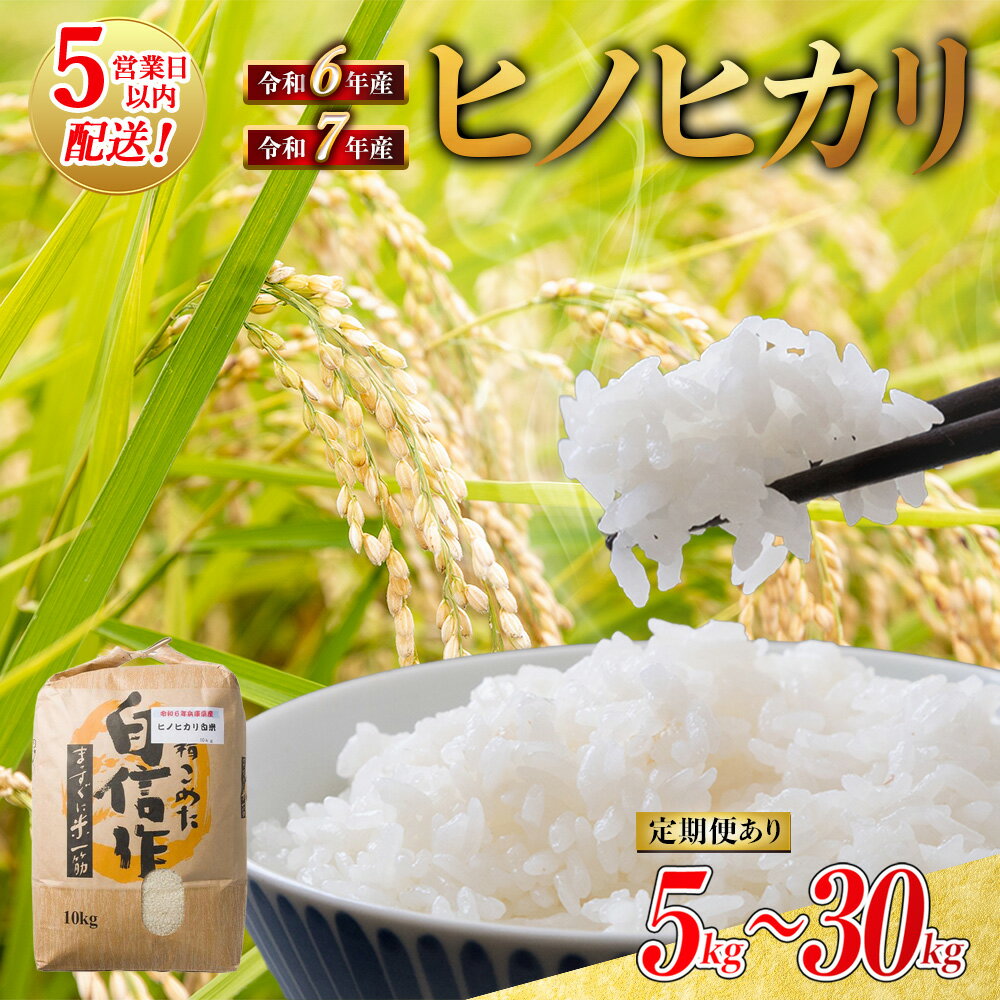 【ふるさと納税】【スピード発送】 ヒノヒカリ 【家計応援！令和6年産】【令和7年産 】【定期便】 白米 選べる容量 5kg 10kg 20kg 30kg 米 お米 兵庫県産 ひのひかり ヒノヒカリ 旨味 もっちり モッチリ 食感 甘い 精米 数量限定 東田商店