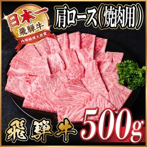 飛騨牛 肩ロース 焼肉 500g_肉 焼肉 牛肉 やきにく ヤキニク バーベキュー  肉 飛騨牛 牛肉 うし ビーフ_【配送不可地域：離島】【1543801】