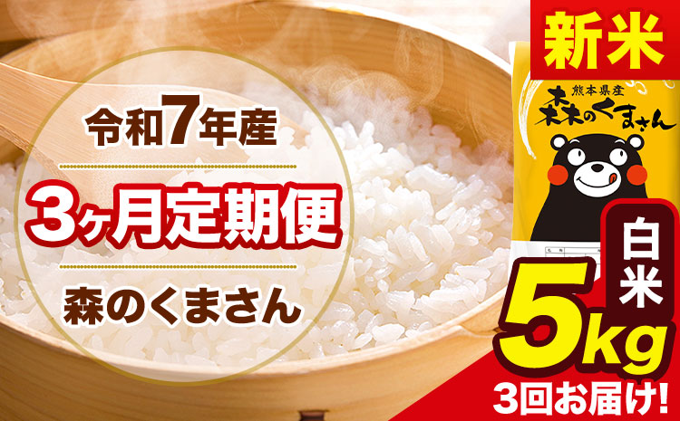 新米 令和7年産 森のくまさん【3ヶ月定期便】 白米 《お申込み月の翌月から出荷開始》5kg(5kg×1袋) 計3回お届け 熊本県産 単一原料米 森くま 熊本県 玉東町