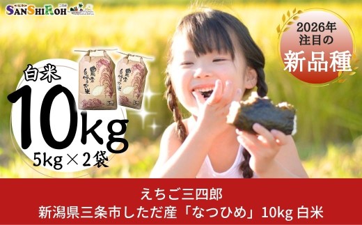 新潟県 三条市 しただ産 「なつひめ」  10kg (5kg×2袋)  白米 新米 令和8年 新品種 新ブランド なつひめ 産地直送 [えちご三四郎] 【018S111】