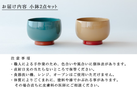 【数量限定・在庫限りで受付終了】【ふるさと納税限定】aisomo cosomo 小鉢2点セット モスグリーン×オレンジ / ベージュ×ピンク ツートンカラーのPOPな越前漆器＜100%天然漆＞【老舗塗