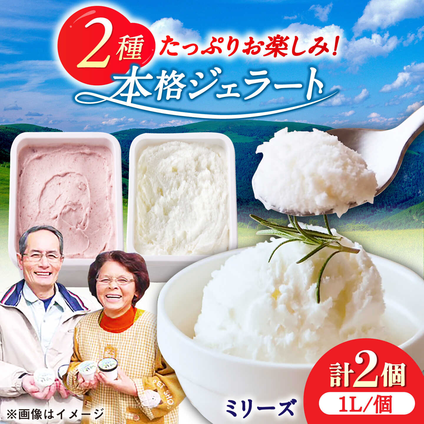 【ふるさと納税】本格ジェラート ファミリーセット 1L×2個 / ジェラート アイス アイスクリーム ギフト 贈答 / 佐賀県 / 松本アイス工房[41AOAA005]