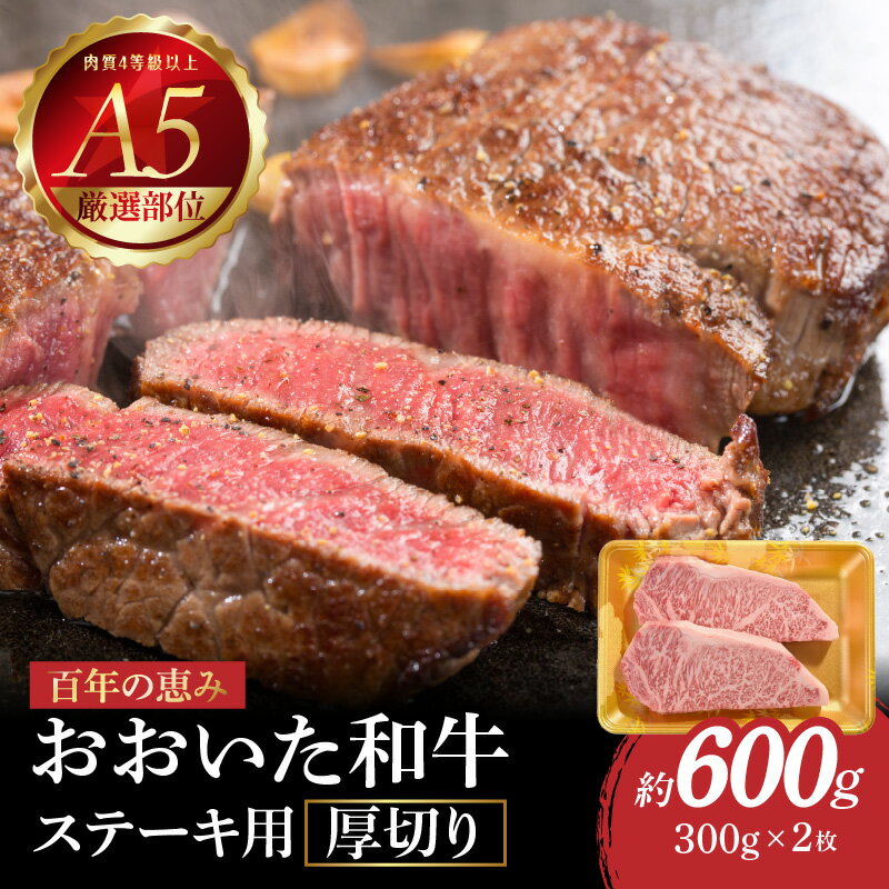 【ふるさと納税】【敬老の日ギフト】百年の恵み おおいた和牛A5 ステーキ用厚切り【厳選部位】約600g 《9月15日お届け》 ステーキ 霜降り 牛肉 豊後牛 肉質4等級以上 国産 鉄板 ギフト 贈答 冷凍 A01104-K