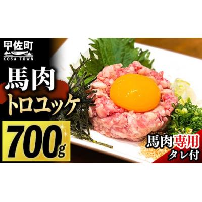 ふるさと納税 甲佐町 【毎月500セット限定】馬肉トロユッケ700g (専用たれ付き)