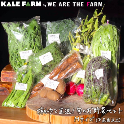 
採れたて直送!旬のお野菜セット Mサイズ(8品目以上)＜種類おまかせ＞【1329347】
