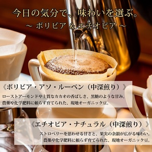 0012-59-08 【オーガニックコーヒー】粉・ボリビア＆エチオピア｜中深煎り｜赤富士珈琲｜利き珈琲チャンピオン厳選