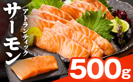 牛タン＆サーモン 食べ比べ 定期便 2回 総量1kg