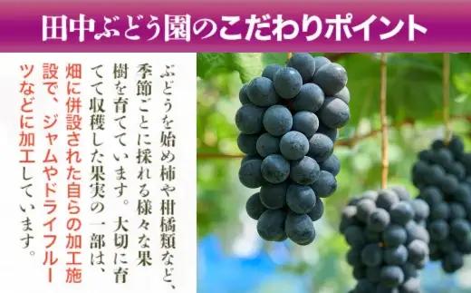 ほしぶどう 40g×10袋  国産 ドライフルーツ 無添加 保存食  食物繊維 鉄分 おやつ おつまみ