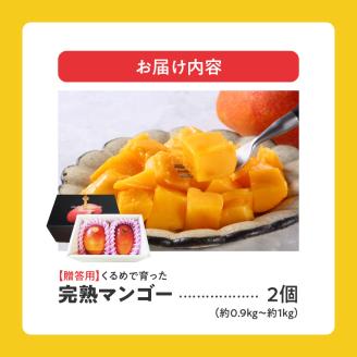 くるめで育った完熟マンゴー（2個：約0.9～1kg）