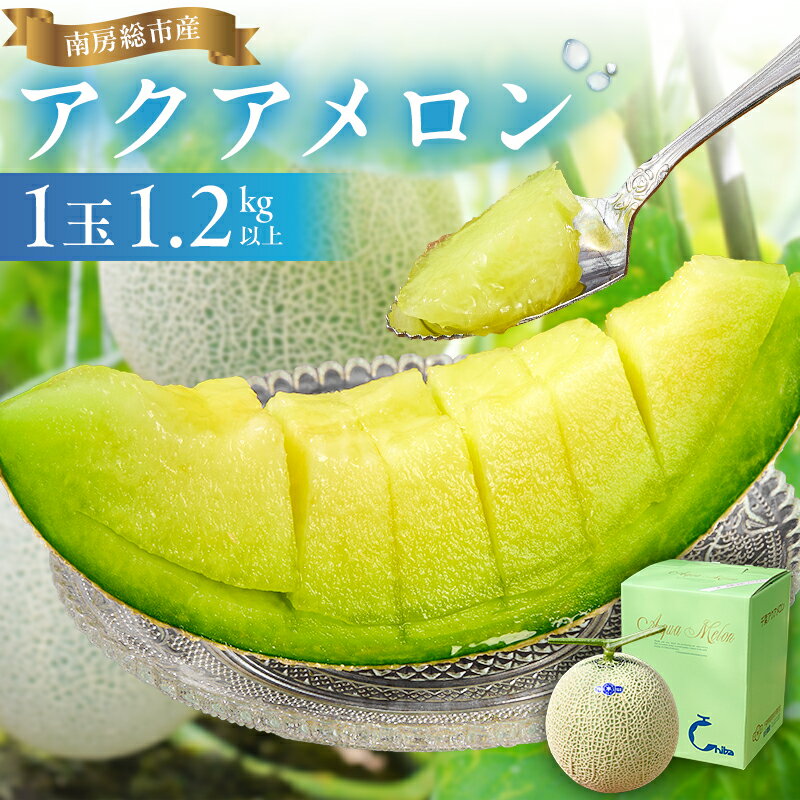 【ふるさと納税】 南房総市産アクアメロン（マスクメロン）1個 高評価レビュー 大人気 高級品 厳選 メロン 化粧箱入り フルーツ 果物 デザート 農園 千葉県 南房総市 お取り寄せ グルメ 送料無料