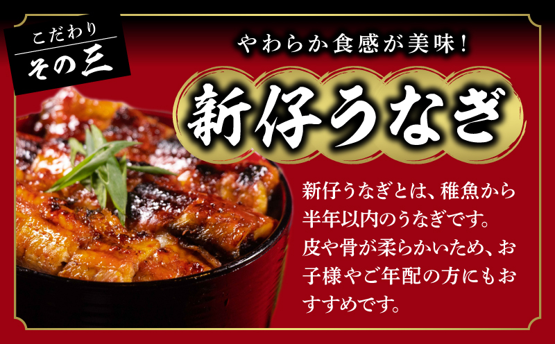 一色産うなぎ 炭焼き 蒲焼まぶし 《2人前セット》×3袋・I021-180