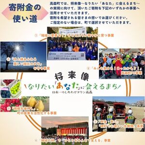 【返礼品はございません】長野県高森町への応援寄附（1口2,000円コース）寄附のみ・返礼品なし
