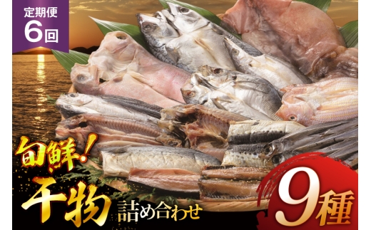 おつまみ イカ 旬魚 平戸 干物 9種 詰め合せ 定期便 6回 [森崎水産 長崎県 平戸市 hr42bgy410098] いか セット 詰合せ 干物 干物セット 一夜干し いかめし 冷凍 国産 ひもの 魚 定期 6ヶ月