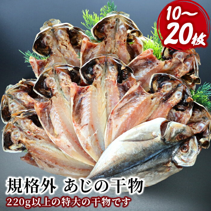 【ふるさと納税】 選べる内容量 ひもの 鯵 特大 詰合せ 御中元 御歳暮 10枚 20枚 伊豆 入久水産の「あじの干物が大きすぎちゃってごめんなさい」[0806212]