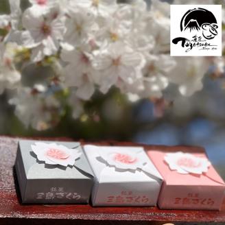 【年内ギフト配送可】三島ざくら6個・らくじゅの実9個詰め合わせ【和菓子　お菓子　桃山風　栗餡　紫蘇餡　黒糖餡　さくら　桜　饅頭　カステラ　スイーツ　お祝い　ご挨拶　ギフト　詰め合わせ　静岡県　三島市】