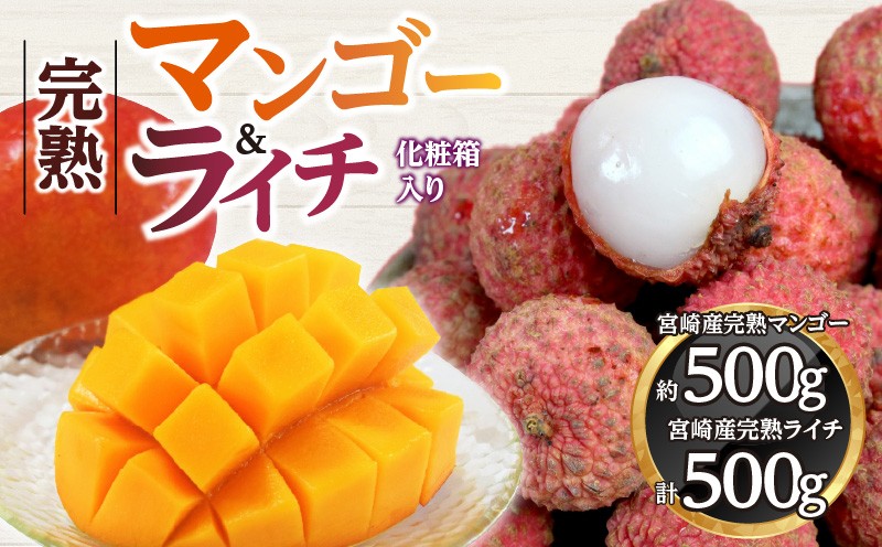 
            《2026年発送先行予約》【数量・期間限定】宮崎マンゴー4L×1・宮崎ライチ12玉 | マンゴー ライチ 宮崎マンゴー 完熟マンゴー 果物 果実 フルーツ トロピカルフルーツ 宮崎県産 完熟  1玉 宮崎ライチ 12玉 化粧箱 プレゼント 贈り物 ギフト |_M279-004
          