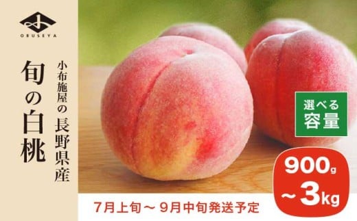 
            旬の白桃 約900g 約2kg 約3kg 選べる内容量 ［小布施屋］ 長野県産 白桃 もも モモ フルーツ 果物 期間限定 数量限定 長野県産 信州産 クール便 冷蔵便 たまき なつき あかつき 川中島白鳳 川中島白桃など 先行予約 2025 令和7年産 【2025年7月上旬～9月中旬発送】 
          