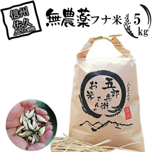 【令和7年産・白米5kg（農薬不使用米）】フナで育てた「五郎兵衛さんのお米」＜2025年10月初旬以降順次配送＞ 長野県 信州 先行予約 新米 こしひかり【五郎兵衛米 米 コメ 白米 精米 お米 こめ おこめ 備蓄品 仕送り おすそ分け 備蓄米 コシヒカリ こしひかり 新米予約 長野県 佐久市】