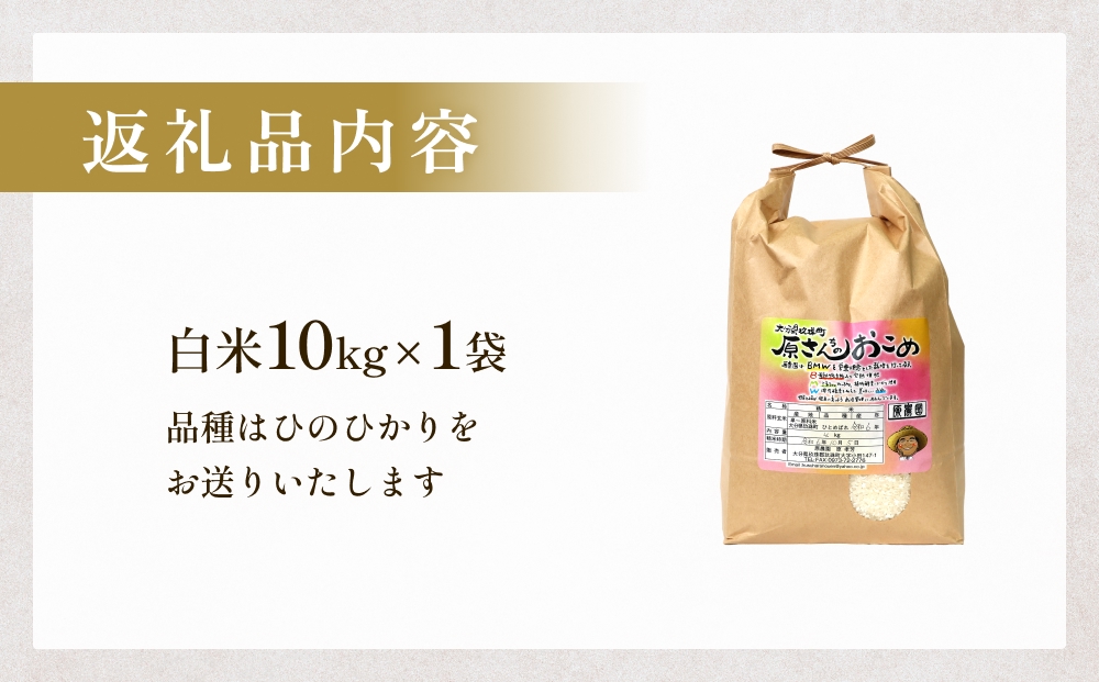 【令和8年産米先行受付】原さんちのお米 白米 10kg ひのひか