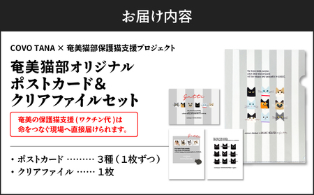 【 奄美 の 保護猫支援 （ ワクチン 代 ）】 ＋ ポストカード ＆ クリアファイル セット A071-009 お手紙 猫デザイン 3種 オリジナルポストカード A4サイズクリアファイル 保護猫プロ
