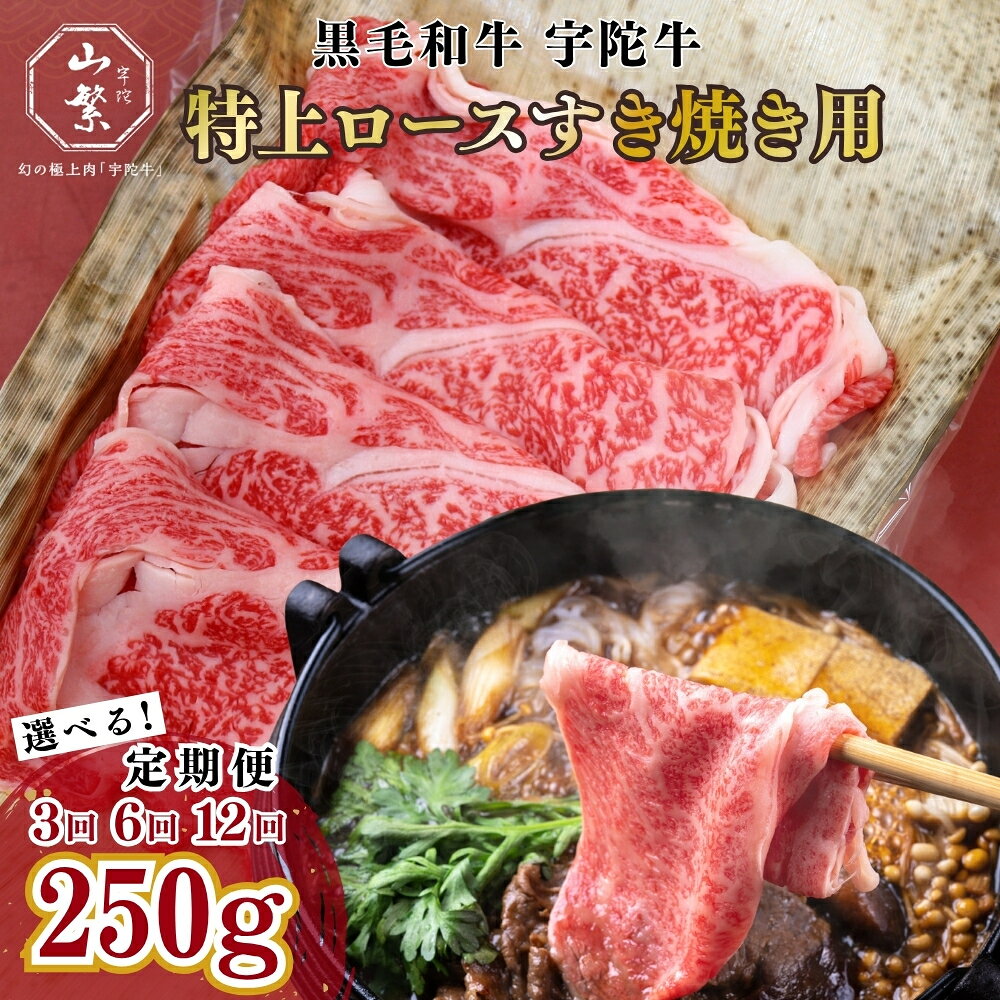 【ふるさと納税】【選べる定期便 3回 6回 12回】 名産 認定肉 宇陀牛 国産 黒毛和牛 特上 ロース すき焼き 約250g / 山繁 ふるさと納税 牛肉 牛丼 しゃぶしゃぶ人気 寄付 ランキング おすすめ グルメ 肉 返礼品 送料無料