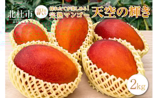 【2025年度先行予約】八ヶ岳・完熟マンゴー 家庭用訳あり2kg　先行予約 完熟マンゴー 天空の輝き 2kg 4~5個 マンゴー アップルマンゴー フルーツ 果物 デザート 家庭用 訳あり 期間限定 数量限定 令和7年産 【2025年度先行予約】 山梨 北杜市