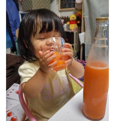 しあわせ人参ジュース(有機ニンジン100%ジュース)500ml×20本【配送不可地域:離島・沖縄県】【1666390】