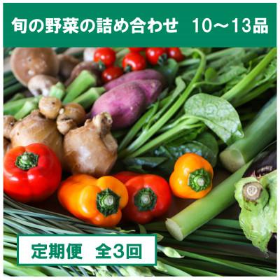 ふるさと納税 南国市 【毎月定期便】【土佐野菜】朝採れ　旬の野菜の詰め合わせ 大全3回