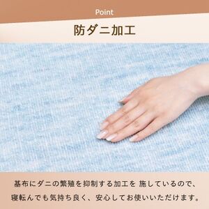 防ダニ カーペット 6畳 日本製 抗菌防臭 ノースポール 江戸間 261×352cm ブルー【1639037】