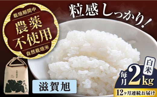 【先行予約/令和7年産新米】【全12回定期便】 滋賀旭 2kg 白米 ×12回 自然栽培米 在来種   滋賀県長浜市/株式会社お米の家倉 [AQCP048] 米 定期便 白米  2kg 滋賀旭 自然栽培米  滋賀県産 長浜市産 こめ お米 新米 食品 ふるさと納税 国産 炊きたて 米ギフト もちもち ブランド米  食卓 美味しい 産地直送 節約 人気