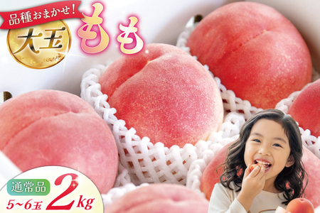 【2026年発送】 桃 山梨 大玉 5～6玉 約 2kgもも モモ 2キロ 果物 フルーツ くだもの 果実 朝採れ 朝どれ 旬 季節限定 期間限定 数量限定 冷蔵 大玉桃 デザート 農園直送 産地直送 ジューシー 厳選 [斉藤農園 山梨県 韮崎市 20743039]