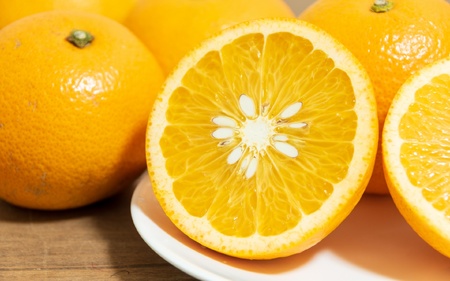 【減農薬栽培】さつき八朔 10kg 2Lサイズ以上 【先行予約】※2026年3月中旬～2026年4月下旬頃に順次発送予定 / はっさく ハッサク 柑橘 由良町 果物 フルーツ 産地直送 お取り寄せ 和歌山【ecen002】
