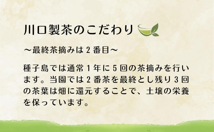 【たねがしまる４０００】種子島 川口製茶 あさつゆ 茶葉 80g NFN944【100pt】