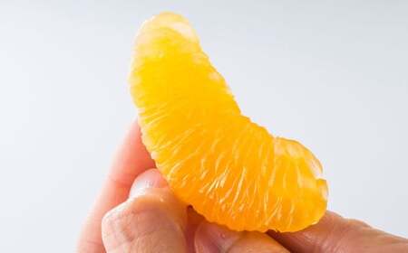 熊本県産 不知火おでこ 約5kg 蜜柑 みかん 柑橘 フルーツ 果物 くだもの 【2026年2月上旬発送開始】